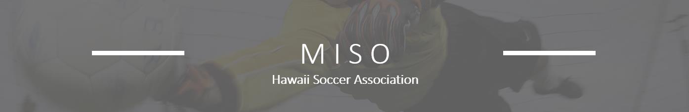 M I S O banner